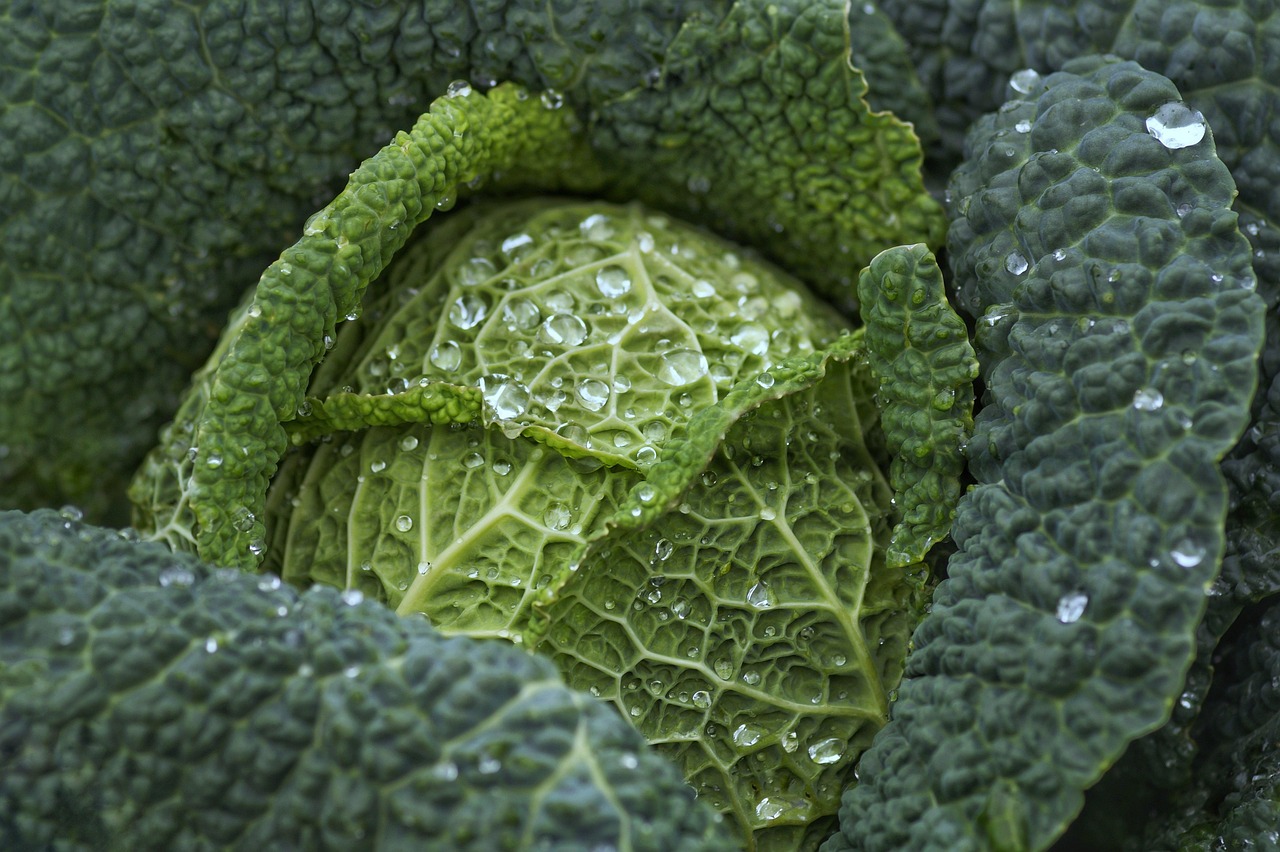 野菜を簡単に摂取する方法とは？