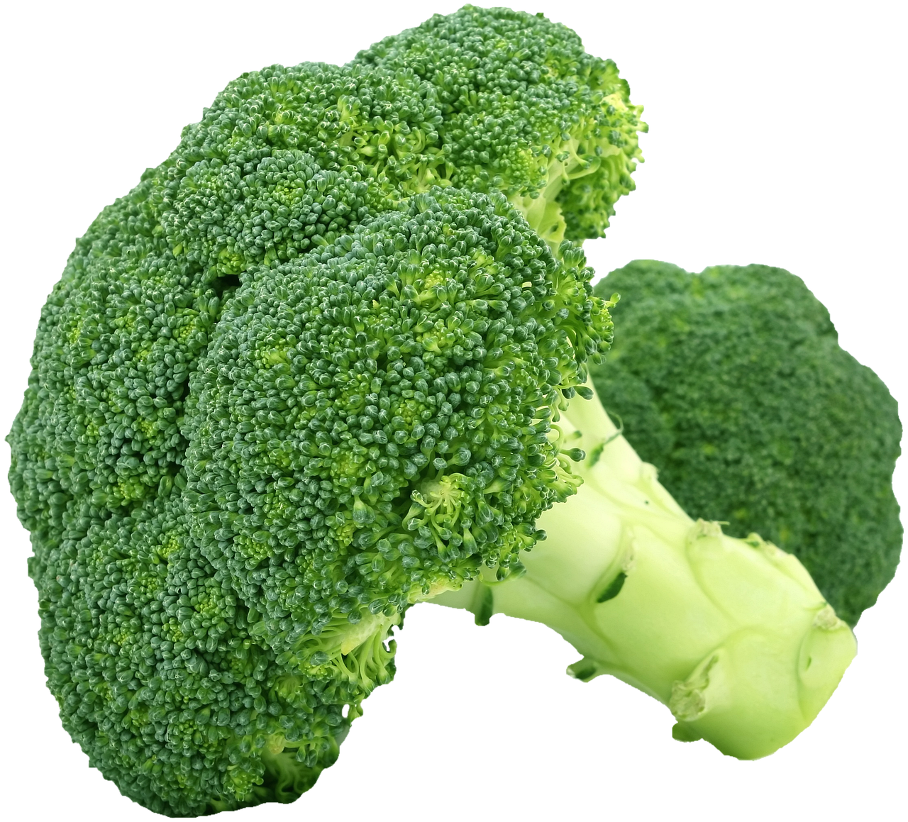 野菜不足を解消する青汁の口コミはどれが信頼できる？