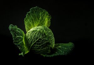 野菜不足を解消するための食物繊維サプリはどれがおすすめ？