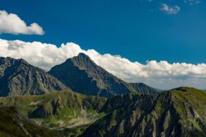 青汁の最安値購入方法は定期購入で決まり？