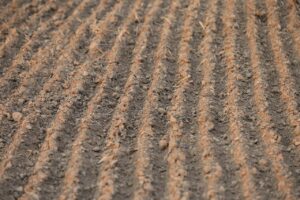 青汁の楽天でのポイント還元を他社と比較する方法は？