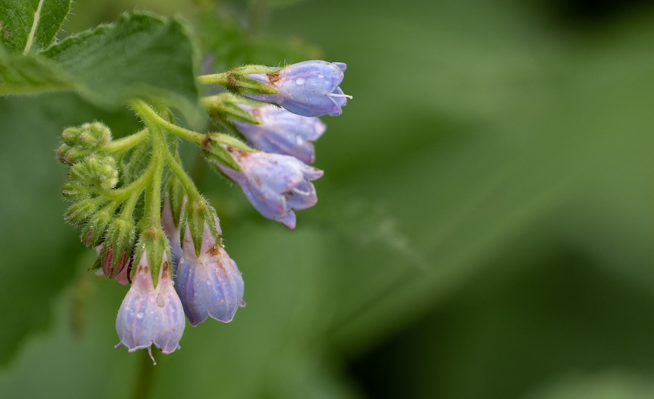 青汁が下痢になる原因とその対策は？