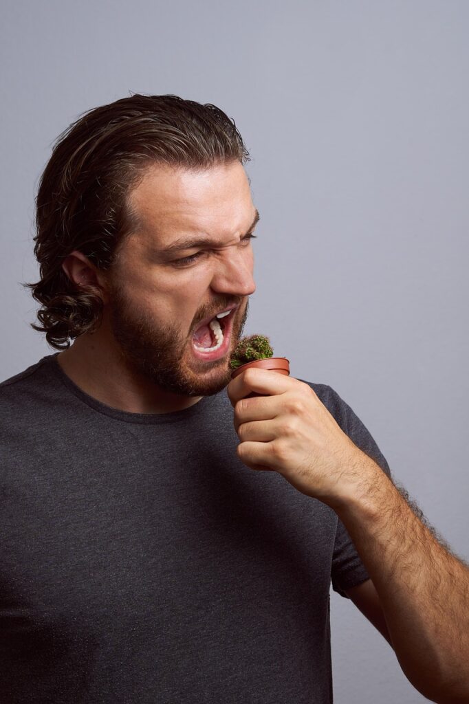 青汁に難消化性デキストリン入りの効果はどのようなものですか？