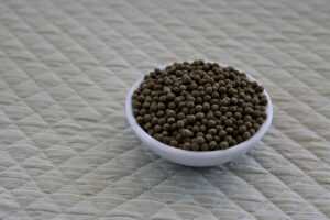 青汁の青臭さが苦手な人でも改善できる美味しいレシピは？