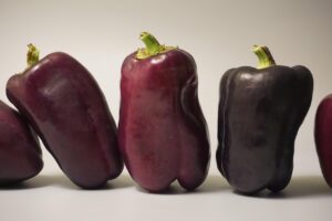 健康診断前日に食物繊維を摂りすぎると注意すべきことは？