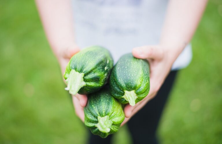 青汁で野菜不足を改善する方法は？