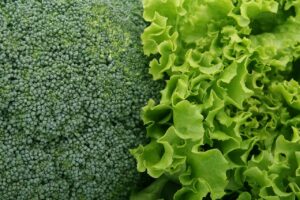 青汁で解消！野菜不足の原因とは？