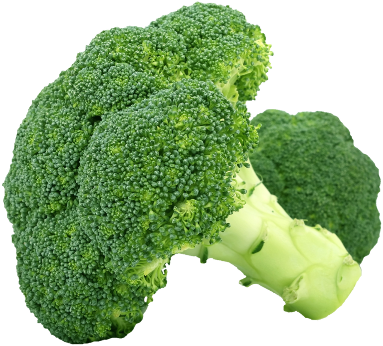 青汁で野菜不足を解消するには？失敗しない選び方は？